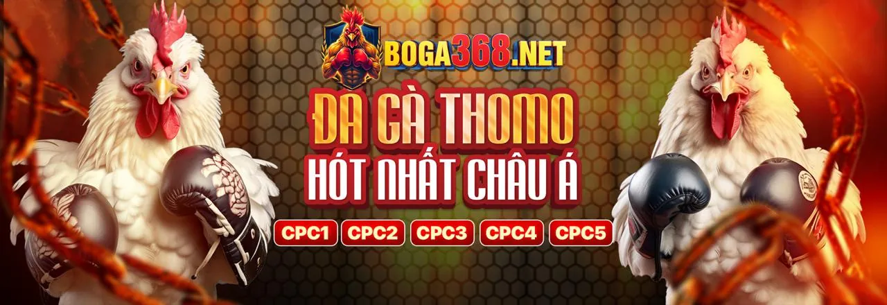 Tham gia 88cbl ngay